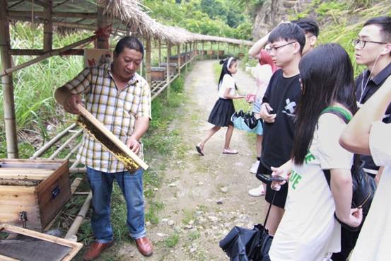 ”善行景宁乡,共圆畲汉梦“av直播
景宁梦之队-实地调研当地养蜂业